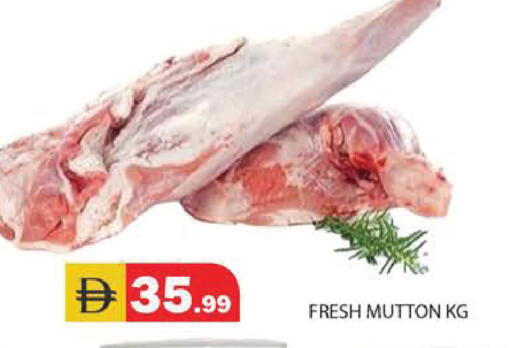 available at سنابل بني ياس in الإمارات العربية المتحدة , الامارات - رَأْس ٱلْخَيْمَة