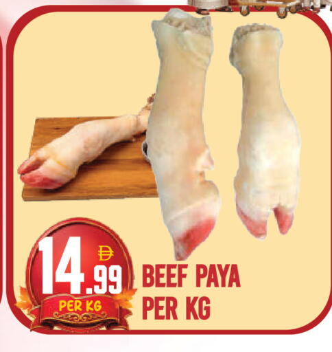 available at دريم لاند in الإمارات العربية المتحدة , الامارات - دبي