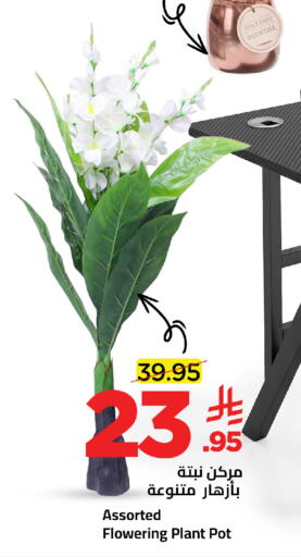 available at Wahj Mart in KSA, Saudi Arabia, Saudi - Jeddah