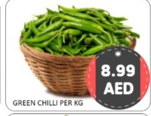 Green chilli available at GREEN GIFT DEPARTMENT STORE in UAE - Abu Dhabi