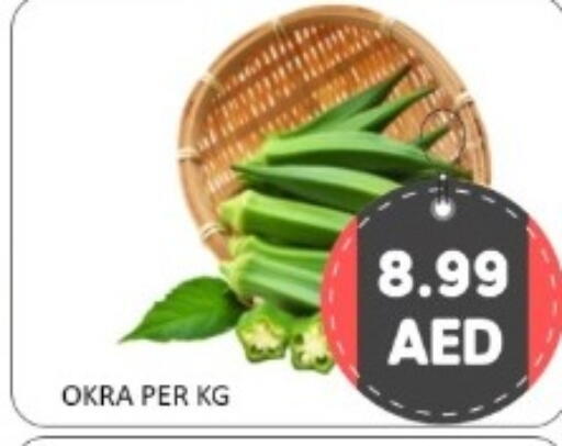 Okra available at GREEN GIFT DEPARTMENT STORE in UAE - Abu Dhabi