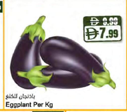Eggplant available at المايا سوبرماركت in الإمارات العربية المتحدة , الامارات - أبو ظبي
