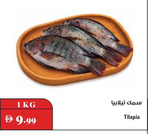 available at تروليز سوبرماركت in الإمارات العربية المتحدة , الامارات - دبي