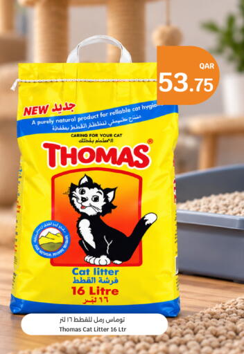 available at سيتي هايبرماركت in قطر - الشحانية