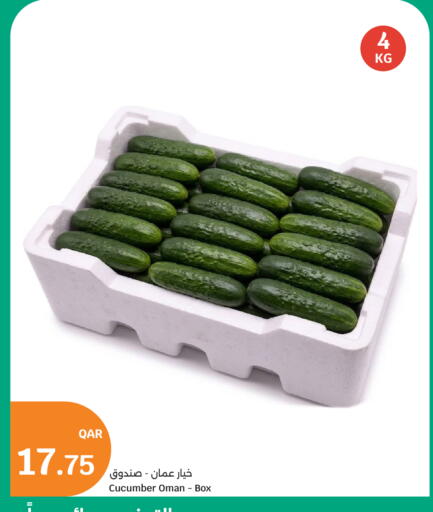 Cucumber from Oman available at سيتي هايبرماركت in قطر - الدوحة