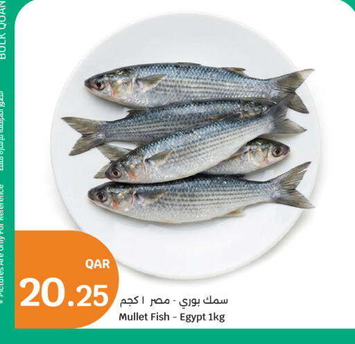 available at سيتي هايبرماركت in قطر - الدوحة