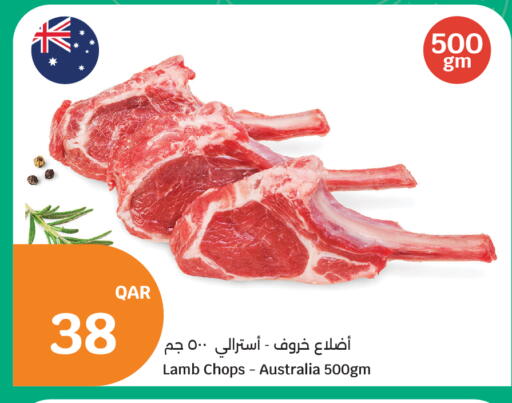 available at سيتي هايبرماركت in قطر - الدوحة