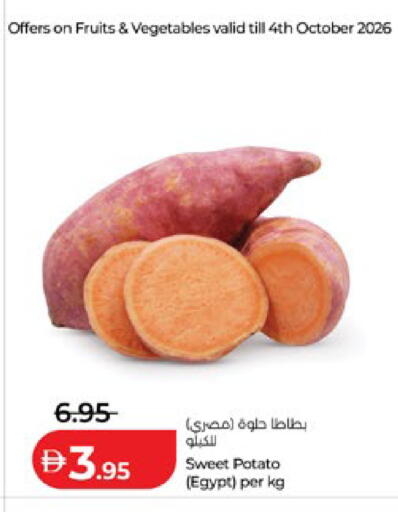 Sweet Potato from Egypt available at لولو هايبرماركت in الإمارات العربية المتحدة , الامارات - أبو ظبي
