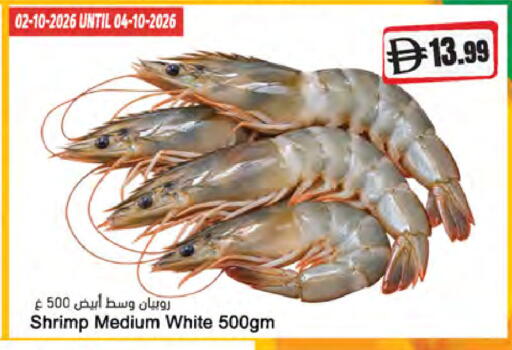 available at المايا سوبرماركت in الإمارات العربية المتحدة , الامارات - الشارقة / عجمان