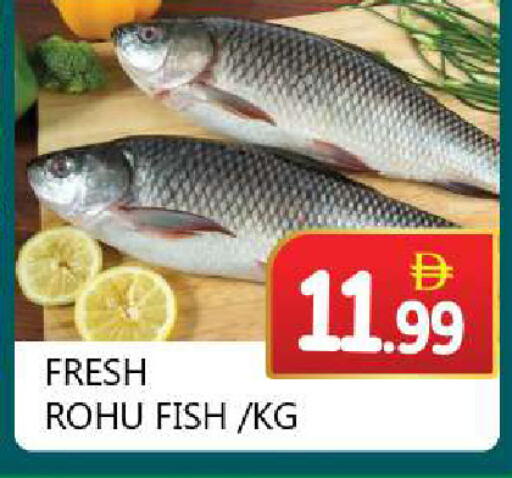 available at سوق المبارك هايبرماركت in الإمارات العربية المتحدة , الامارات - الشارقة / عجمان