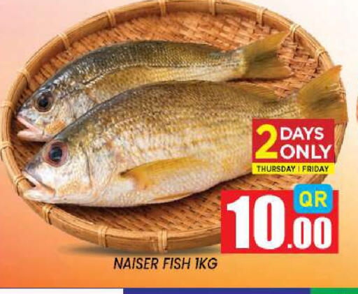 available at New Stop n Shop @Fereej Bin Omran in Qatar - Al Rayyan