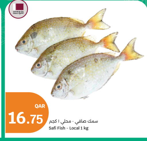 available at سيتي هايبرماركت in قطر - الخور