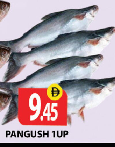 available at زين مارت سوبرماركت in الإمارات العربية المتحدة , الامارات - رَأْس ٱلْخَيْمَة