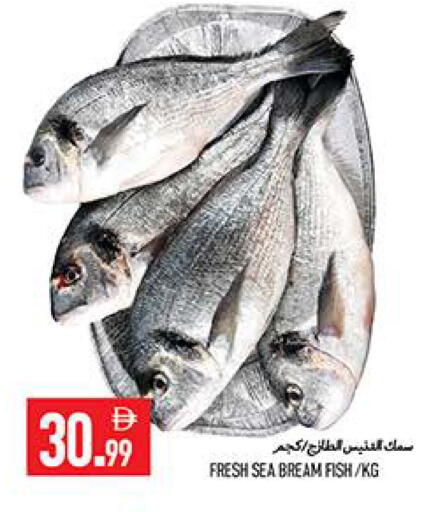available at  روابي ماركت عجمان in الإمارات العربية المتحدة , الامارات - الشارقة / عجمان