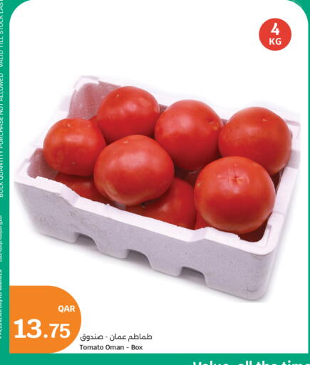 Tomato from Oman available at سيتي هايبرماركت in قطر - الدوحة
