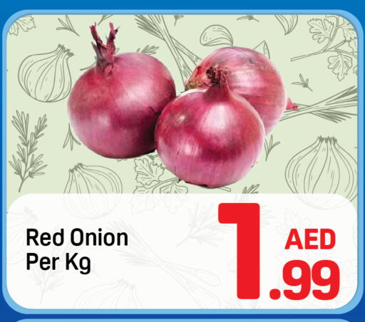 Onion available at Day to Day Department Store in UAE - Dubai