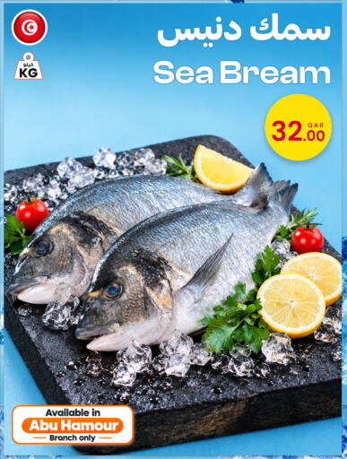 available at البلدي اليوم in قطر - الخور