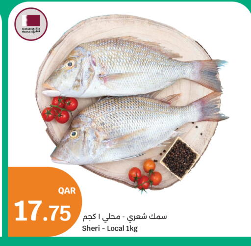 available at سيتي هايبرماركت in قطر - الدوحة