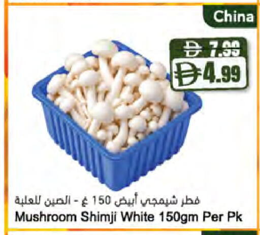 Mushroom from China available at المايا سوبرماركت in الإمارات العربية المتحدة , الامارات - أبو ظبي