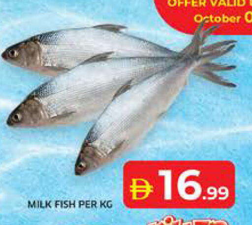 available at Seven Emirates Supermarket in UAE - Abu Dhabi