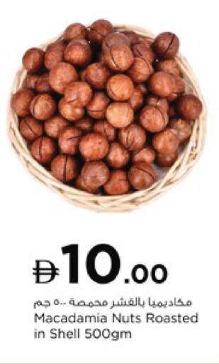 available at نستو هايبرماركت in الإمارات العربية المتحدة , الامارات - رَأْس ٱلْخَيْمَة