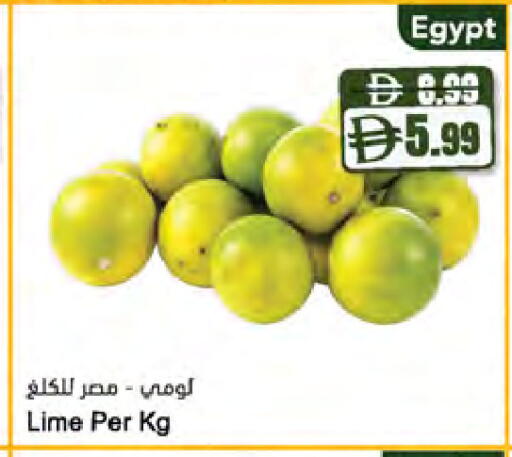 from Egypt available at المايا سوبرماركت in الإمارات العربية المتحدة , الامارات - أبو ظبي