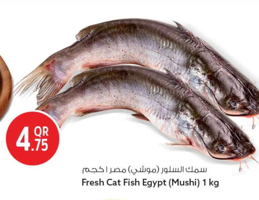 available at سفاري هايبر ماركت in قطر - أم صلال