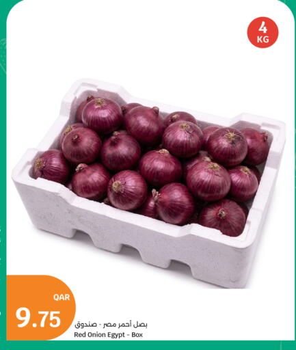 Onion from Egypt available at سيتي هايبرماركت in قطر - الدوحة