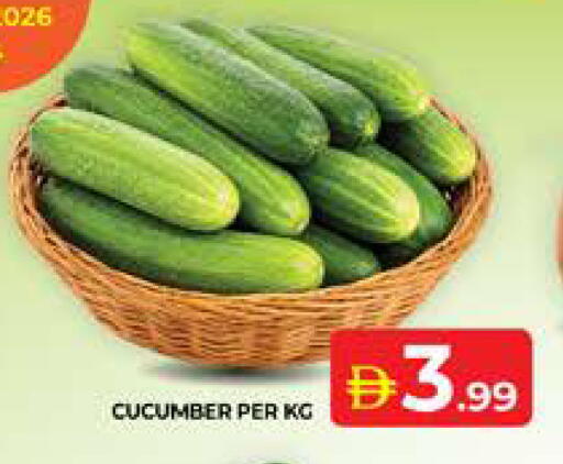 Cucumber available at Seven Emirates Supermarket in UAE - Abu Dhabi
