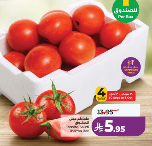 Tomato from Saudi Arabia available at LULU Hypermarket in KSA, Saudi Arabia, Saudi - Khamis Mushait