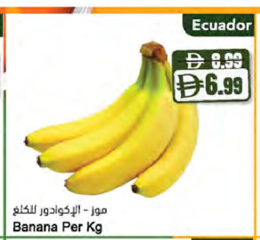 Banana from Ecuador available at المايا سوبرماركت in الإمارات العربية المتحدة , الامارات - أبو ظبي