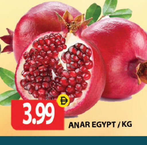 from Egypt available at Gulf Hypermarket LLC in UAE - Ras al Khaimah