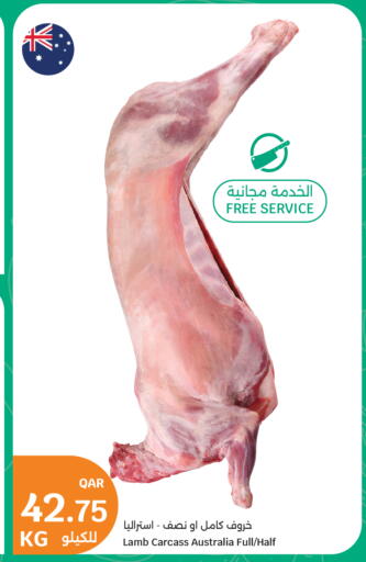 available at سيتي هايبرماركت in قطر - الخور