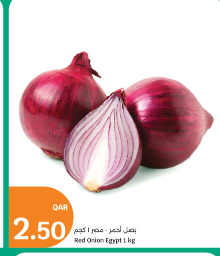 Onion from Egypt available at سيتي هايبرماركت in قطر - الدوحة