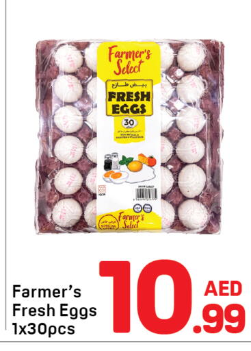 available at Day to Day Department Store in UAE - Dubai