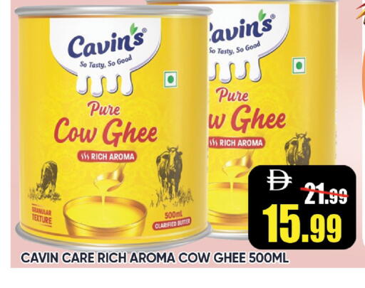 available at ليبتس هايبرماركت in الإمارات العربية المتحدة , الامارات - رَأْس ٱلْخَيْمَة