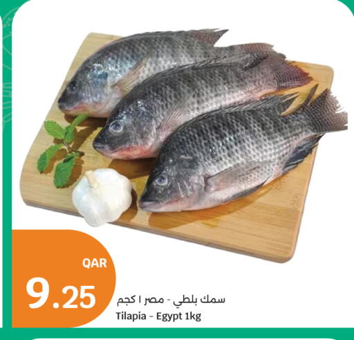 available at سيتي هايبرماركت in قطر - أم صلال