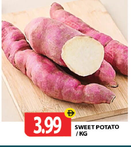Sweet Potato available at Gulf Hypermarket LLC in UAE - Ras al Khaimah