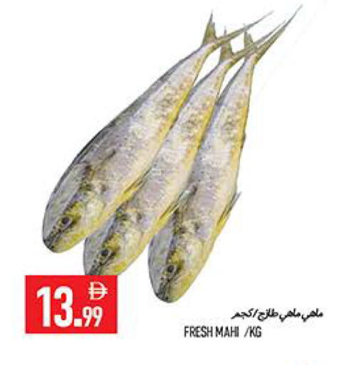 available at  روابي ماركت عجمان in الإمارات العربية المتحدة , الامارات - الشارقة / عجمان