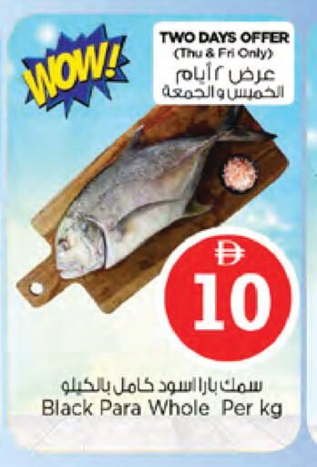 available at نستو هايبرماركت in الإمارات العربية المتحدة , الامارات - دبي