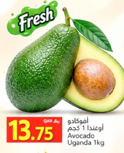 Avocado from Uganda available at Gulf Food Center in Qatar - Doha