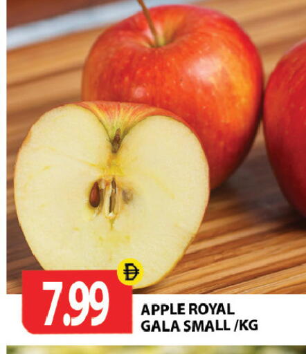 Apple available at جلف هايبرماركت ذ.م.م in الإمارات العربية المتحدة , الامارات - رَأْس ٱلْخَيْمَة