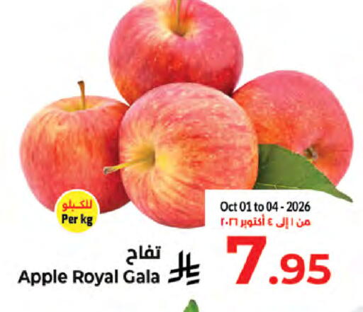 Apple available at كبايان هايبرماركت in مملكة العربية السعودية, السعودية, سعودية - جدة