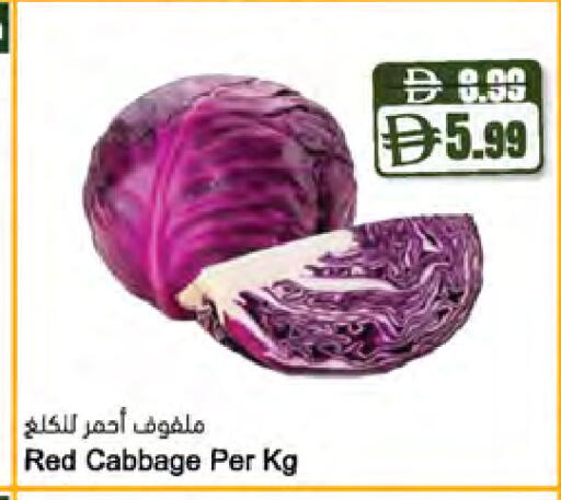Cabbage available at المايا سوبرماركت in الإمارات العربية المتحدة , الامارات - أبو ظبي
