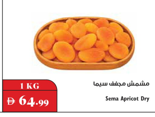 Apricot available at تروليز سوبرماركت in الإمارات العربية المتحدة , الامارات - دبي