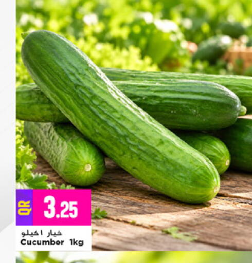 Cucumber available at مرزا هايبرماركت in قطر - الريان