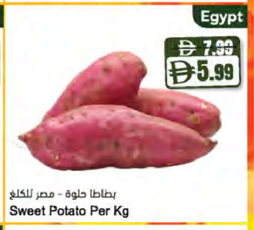 Sweet Potato from Egypt available at المايا سوبرماركت in الإمارات العربية المتحدة , الامارات - أبو ظبي