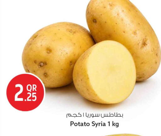 Potato from Syria available at سفاري هايبر ماركت in قطر - الشحانية