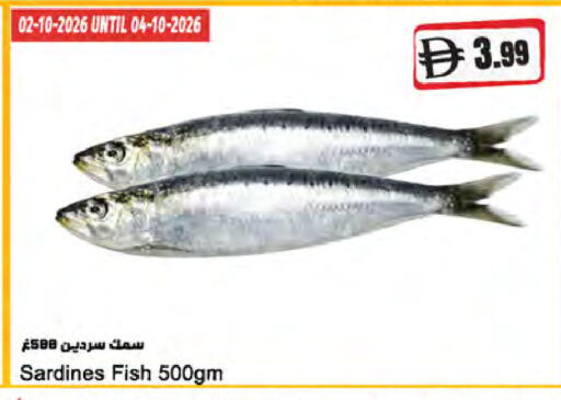 available at المايا سوبرماركت in الإمارات العربية المتحدة , الامارات - أبو ظبي