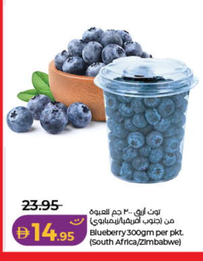 Blueberry BlueBerry from South Africa Zimbabwe available at لولو هايبرماركت in الإمارات العربية المتحدة , الامارات - دبي
